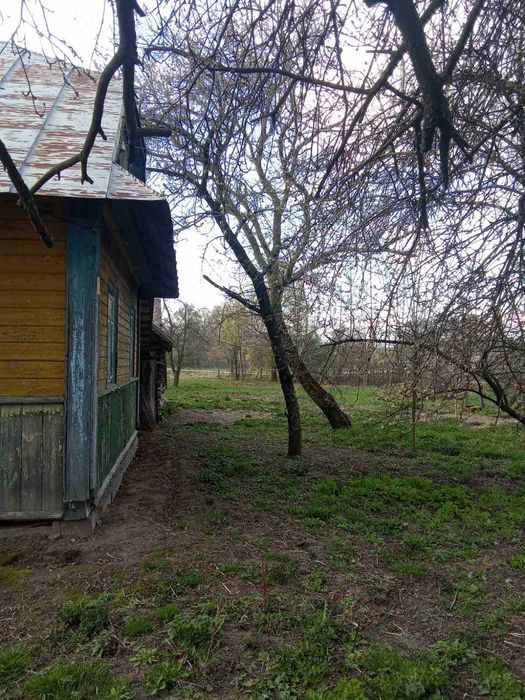 Продам будинок в с. Личини