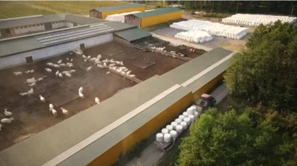 Фастівський р-н; Продаж агро бізнесу повного циклу. від власника