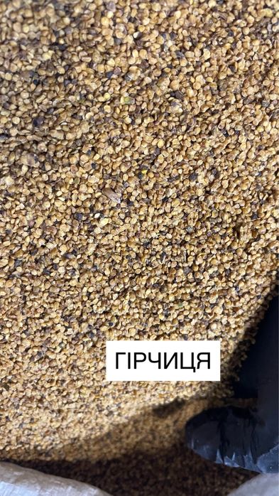 Віджате чисте насіння  | ШРОТ | МАКУХА | КЛІТКОВИНА | ЗНЕЖИРЕНЕ