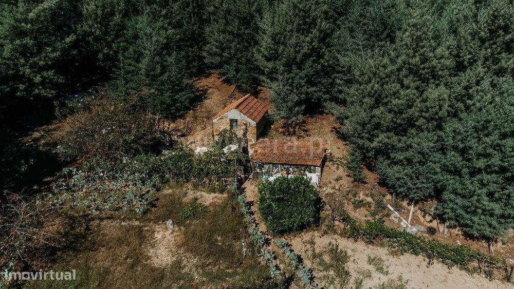Terreno Rústico / Oliveira do Hospital, Lagos da Beira e Lajeosa