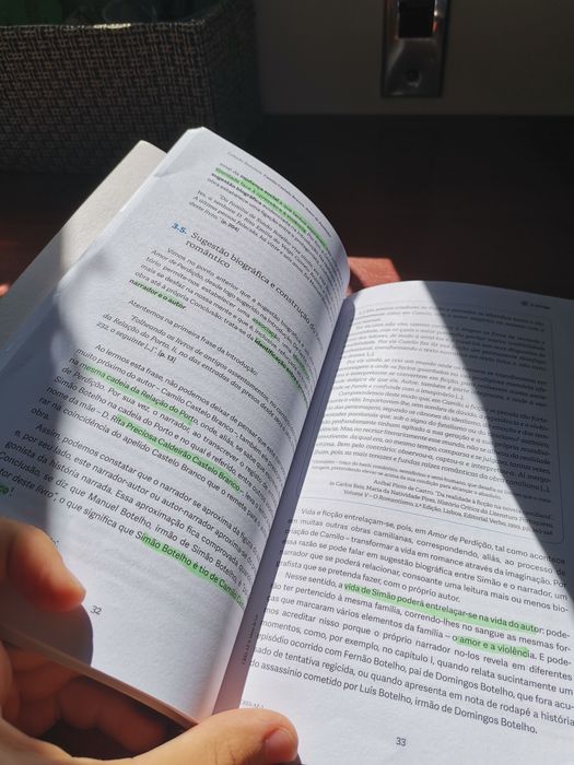 Livro de Resumos Amor de Perdição