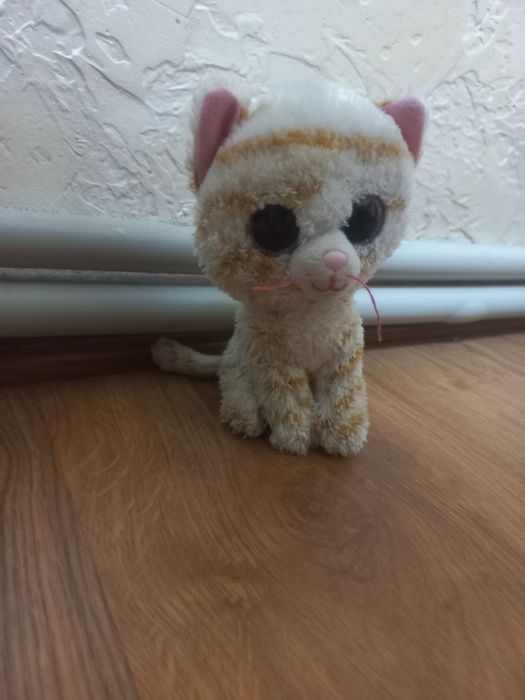 Котик полосатий з великими очима