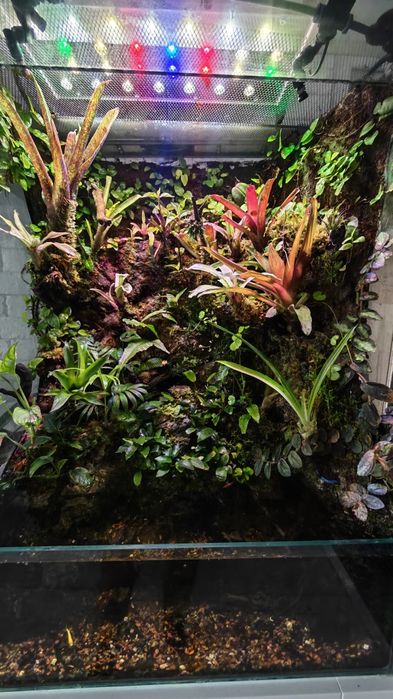 Paludarium roślinne z wodospadem 80x60x40