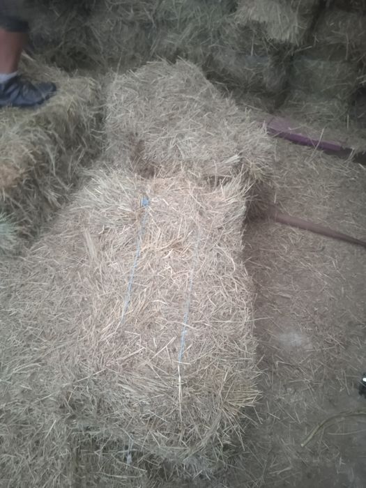 Сено луговое в тюках