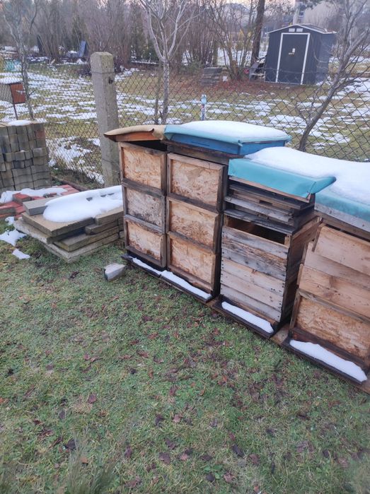 Sprzedam ule i wszystko co na zdjęciach