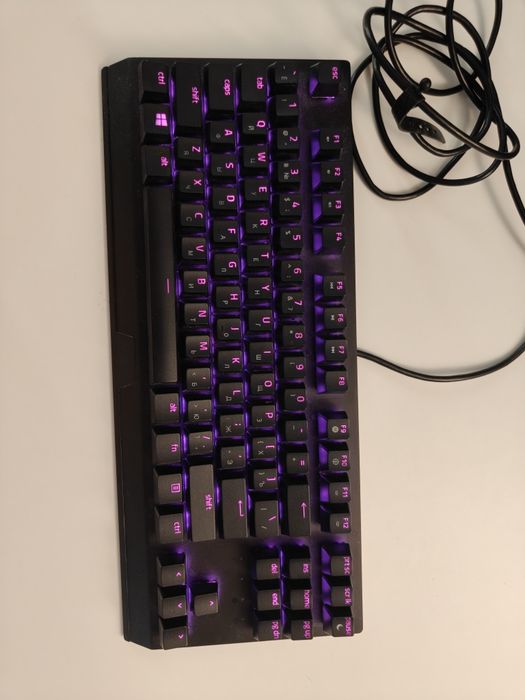 Razer BlackWidow V3 Tenkeyless