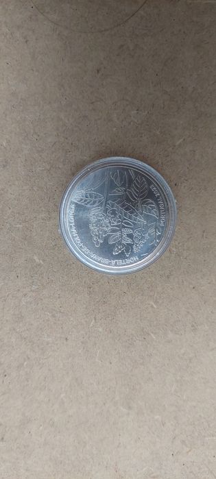 Moeda Hortelã-brava­‑de­‑folha-longa (mentha longa]