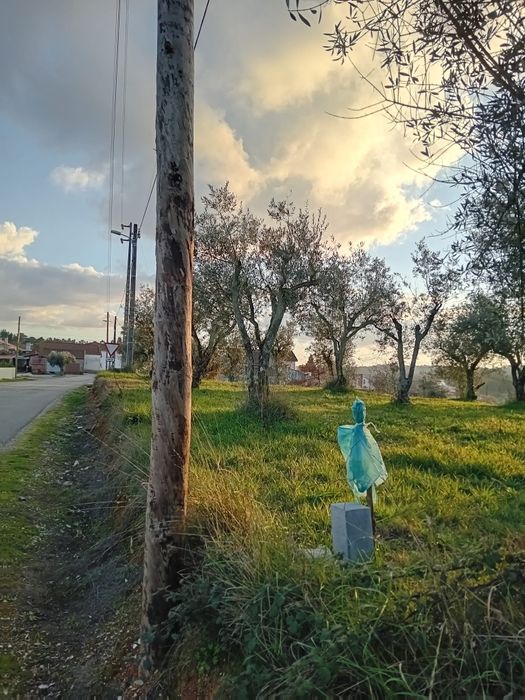 Terreno 747m2 viabilidade 60% de construção na Charneca Alvorge Ansião