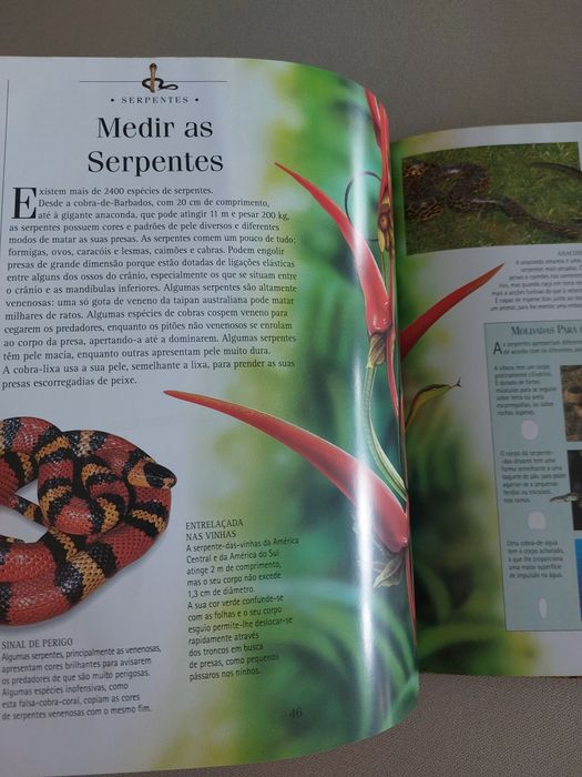 2 Livros de Ciências