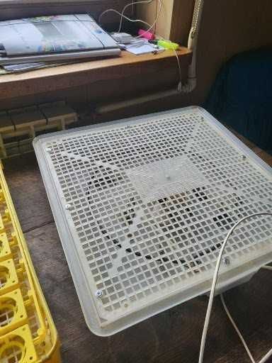 Inkubator do wylęgu jaj