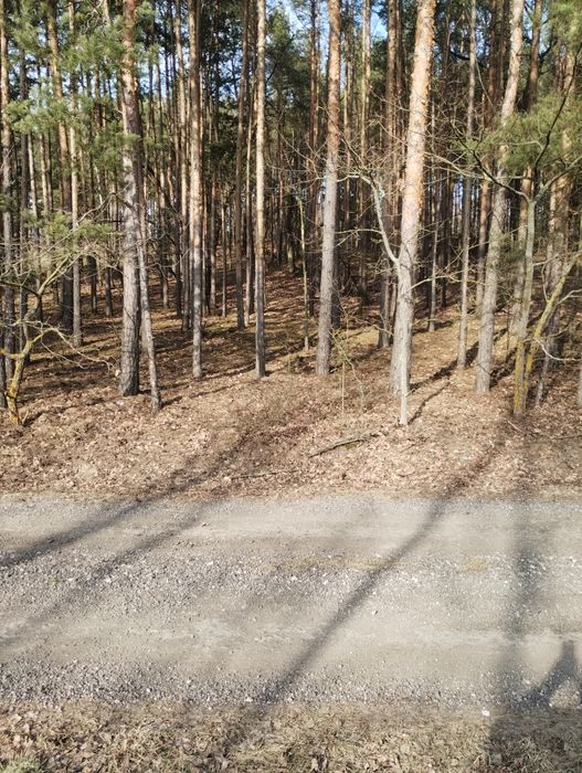 Piękna działka Famułki Brochowskie zamiana