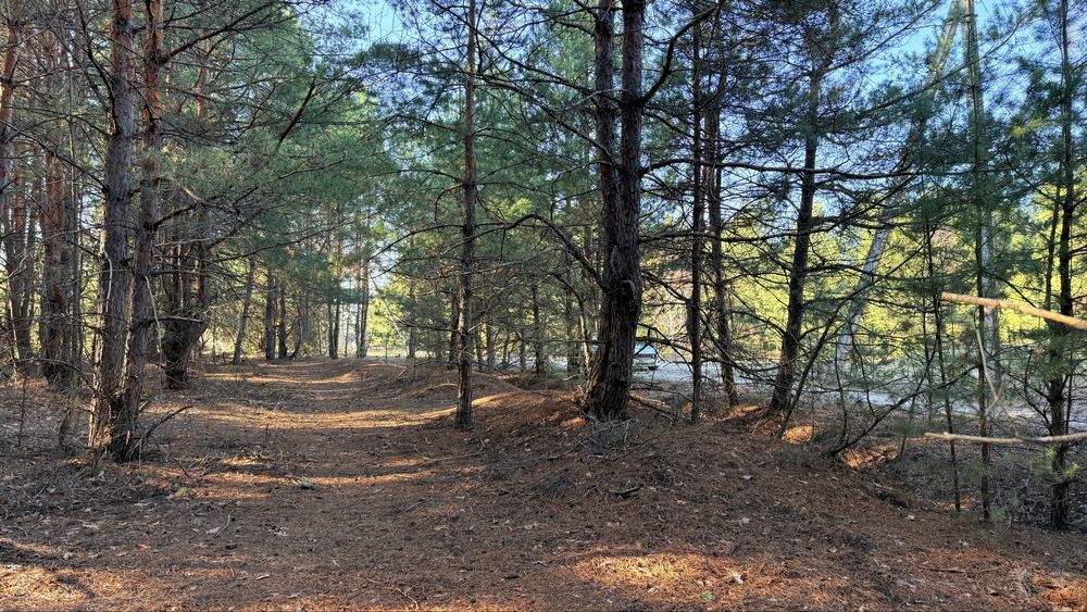 Продам земельну ділянку! Пилиповичі