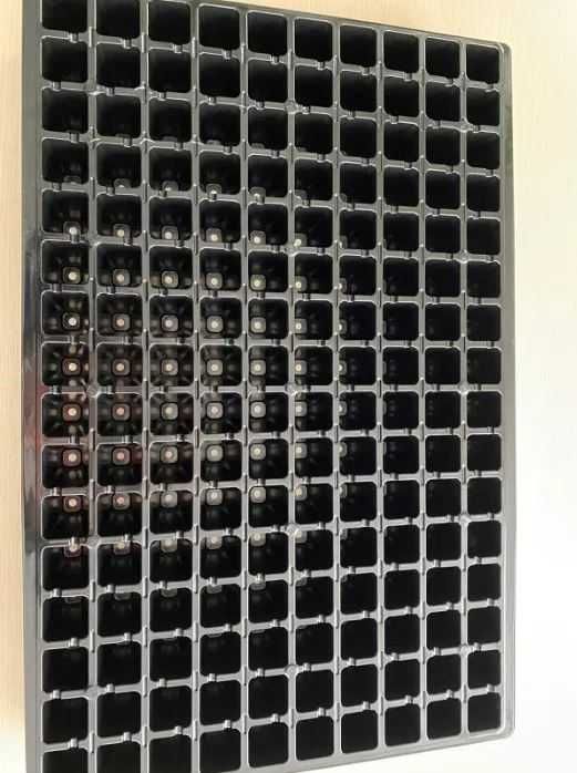 Професійна касета для розсади 160 комірок Роздріб 30.63 Гурт 24.50.