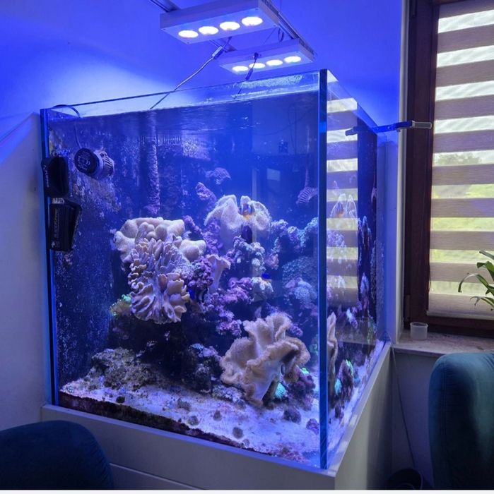 Okazja Akwarium Morskie 500l ZAMIANA e-rybka stelaż zabudowa