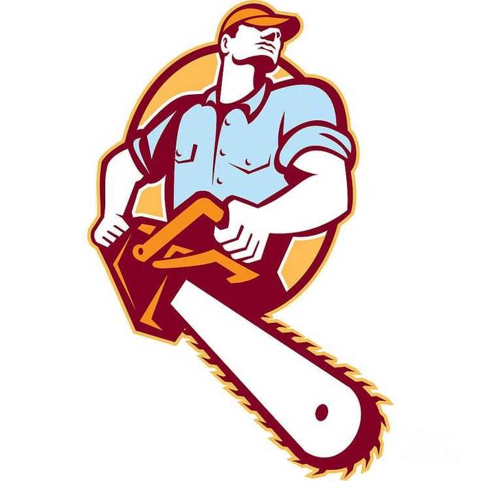 Обрізка дерев професійно та недорого