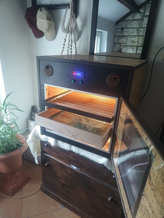 Inkubator pełen automat 70 jaj cieplarka + klujnik
