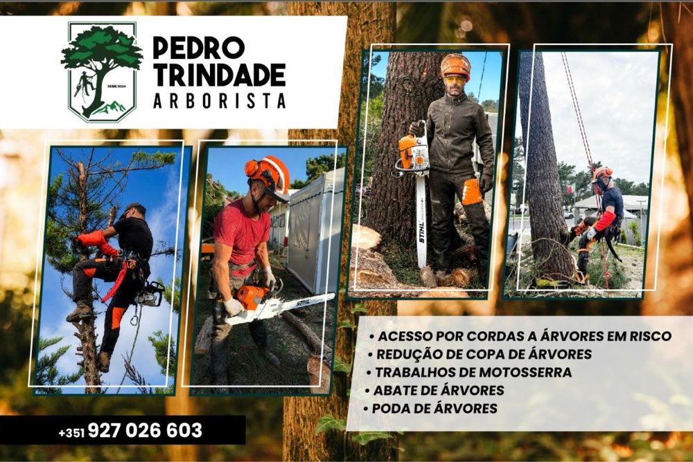 Corte e limpeza de árvores