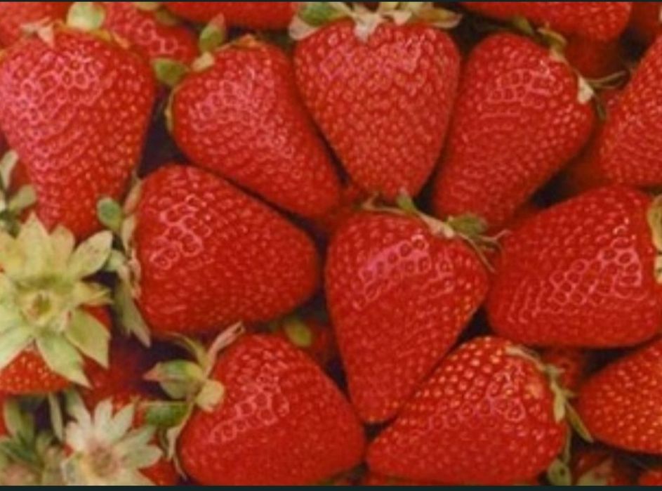 Truskawki San Andreas 10 szt