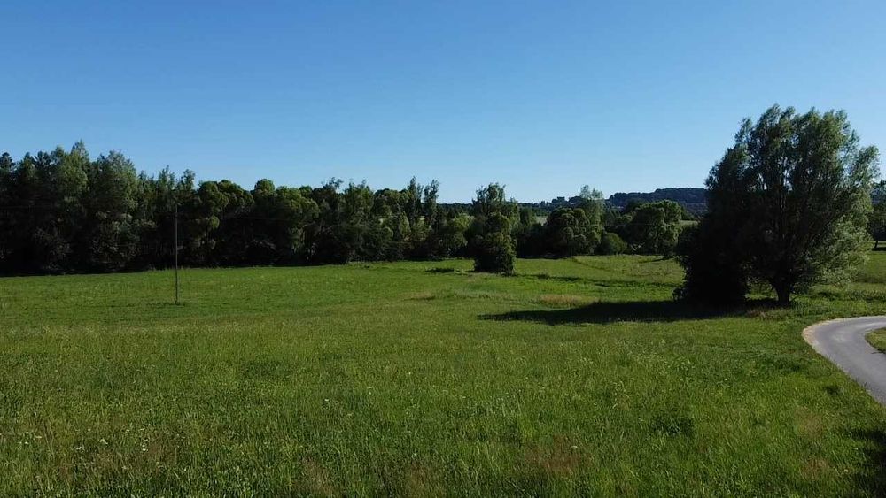 Piękna działka w otoczeniu lasów - Widok 5