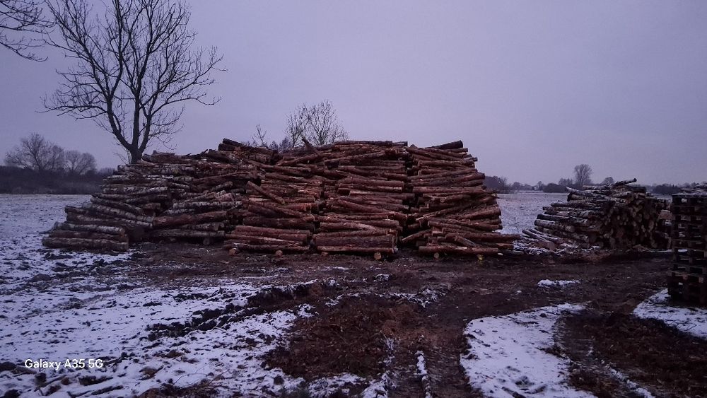 Drewno Opałowe Sosnowe