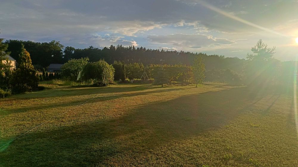 Działka budowlana blisko lasu – pohled 4