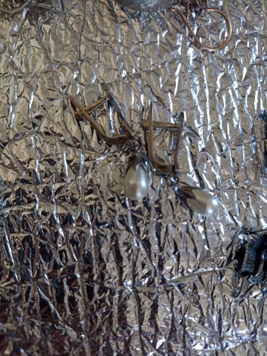 Каблучки срібло...