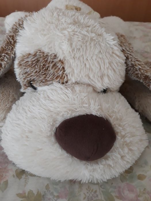 Cão de peluche novo