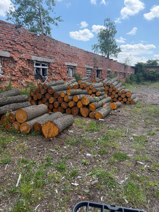 Береза/Сосна/Вільха 2 м. Колоди/Дрова Доставка тільки ОПТ від фури-тверді 1м