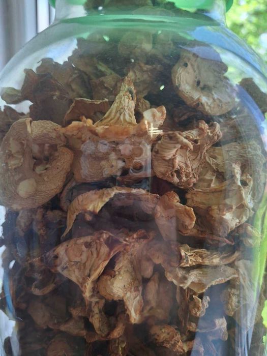 Продам сухі лисички