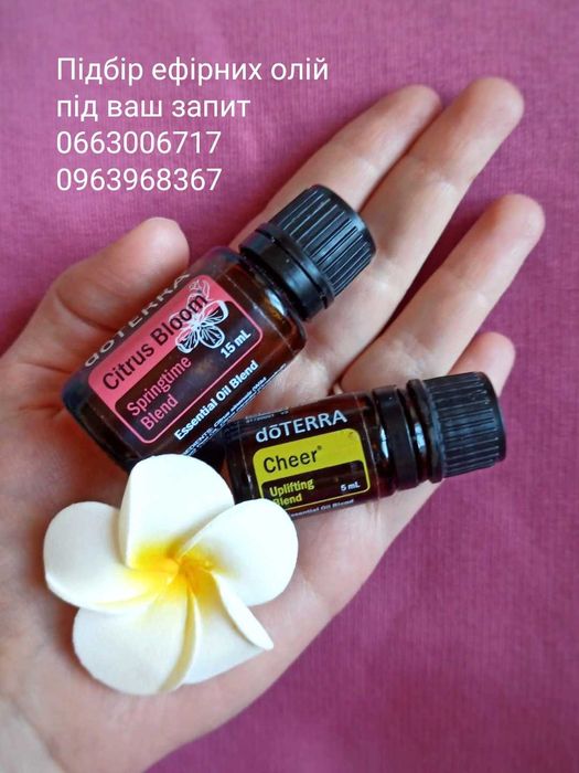 Подарунковий набір ефірних олій doTERRA: Лаванда, Лимон, М’ята по 5 мл