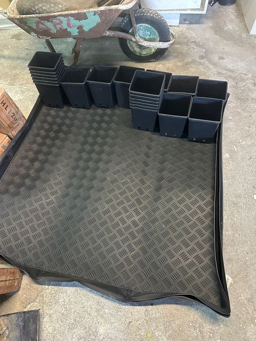 Tendas para criançao de todo o tipo de Plantas