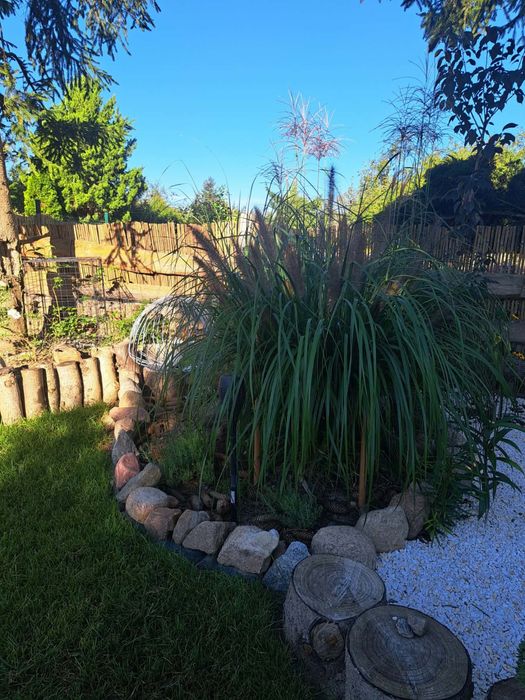 Dzialka Rod lasek Marceliński