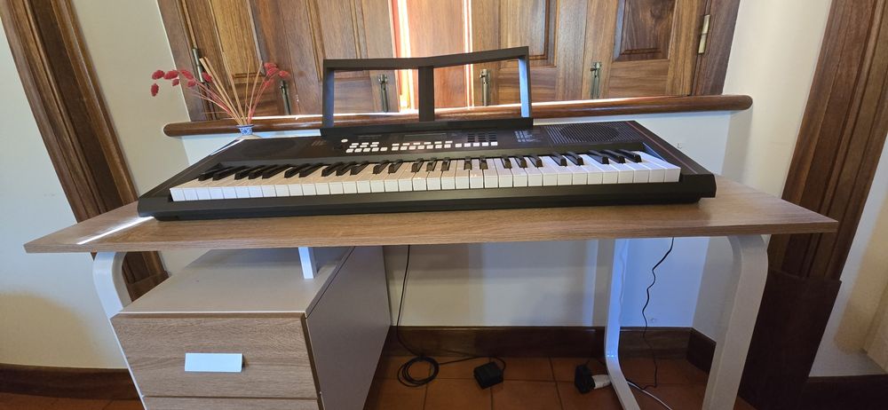 Vendo orgão + ukulele