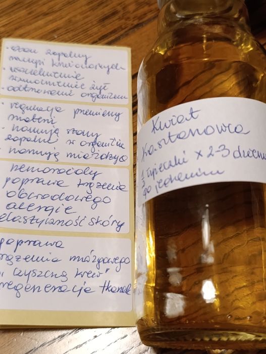 Z Podlasia kasztanowiec kwiat przytulia głóg miłorząb  krążenie limfa