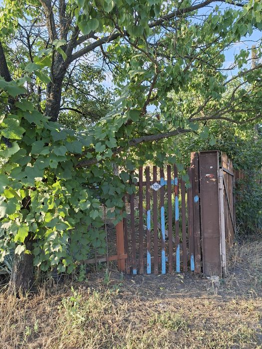 Дачный участок.Свет и скважина