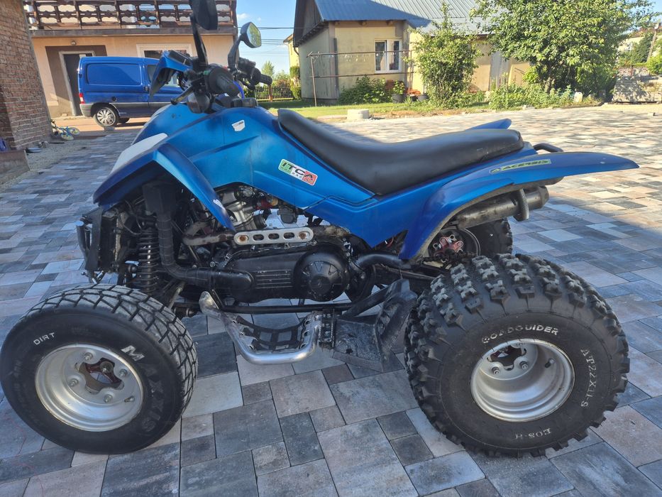 Quad Dinli masai a300