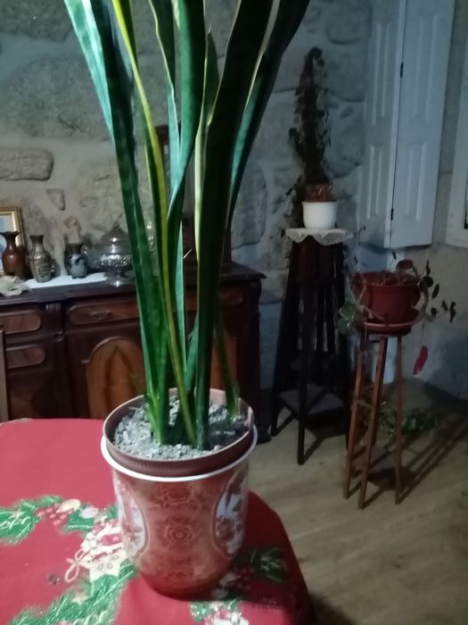 Vaso de porcelana com espada de s Jorge