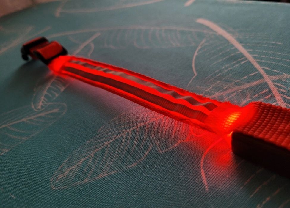 Obroża led odblaskowa dla psa