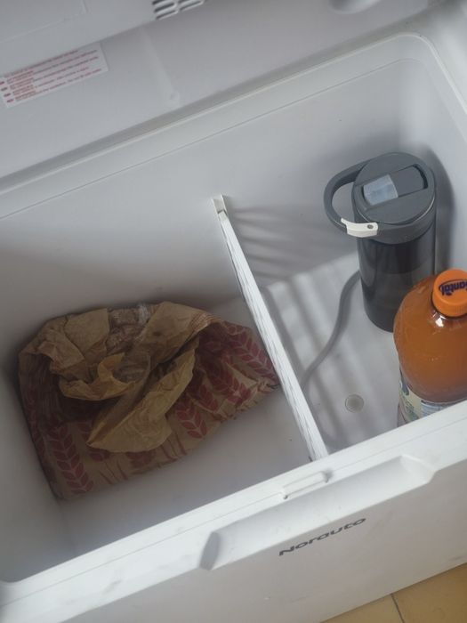 Arca frigorífico campismo Norauto 45 litro