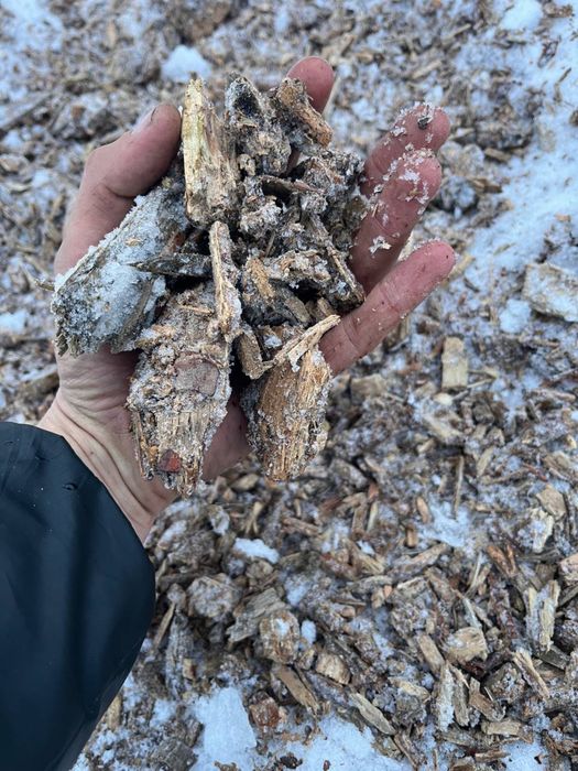 Щепа соснова заводського рубання