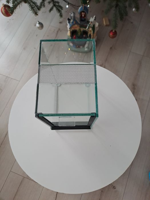 Terrarium dla pająka nadrzewnego