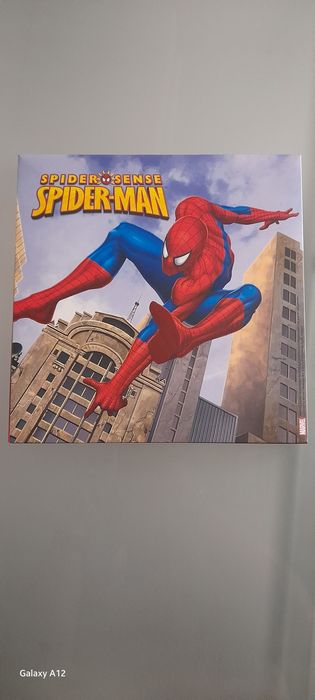 Quadro Homem Aranha.
