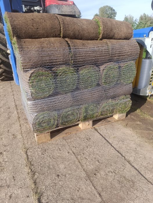 Trawa z rolki/Producent/Transport