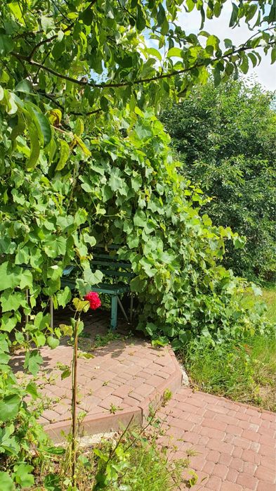 Продам свою дачу с дровяной печью  Рай-Еленовка