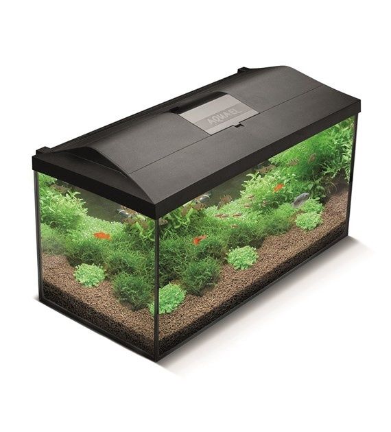 Zestaw Akw. Leddy 75 Czarny i biały Plus D&N 2.0