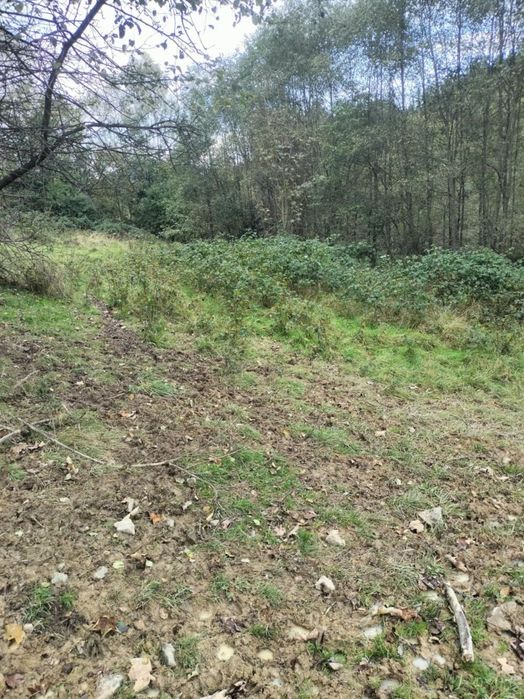 Działka Rolno- Budowlana 33ar - Widok 2