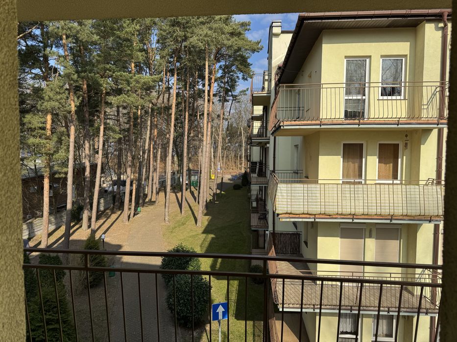 Apartament z cudownym widokiem na las