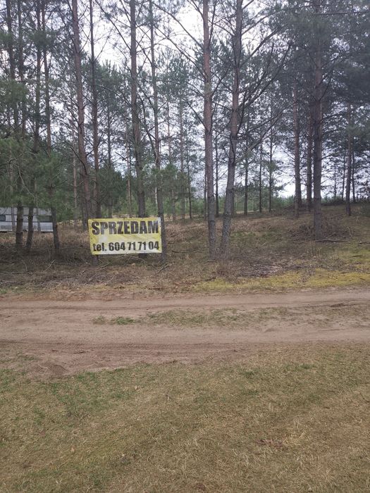 Działka koło rzeki Wda