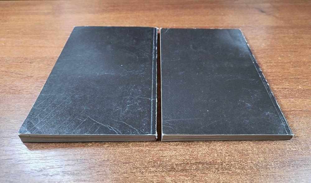 Шри Ауробиндо Сатпрем + Техника медитации в системе интегральной йоги