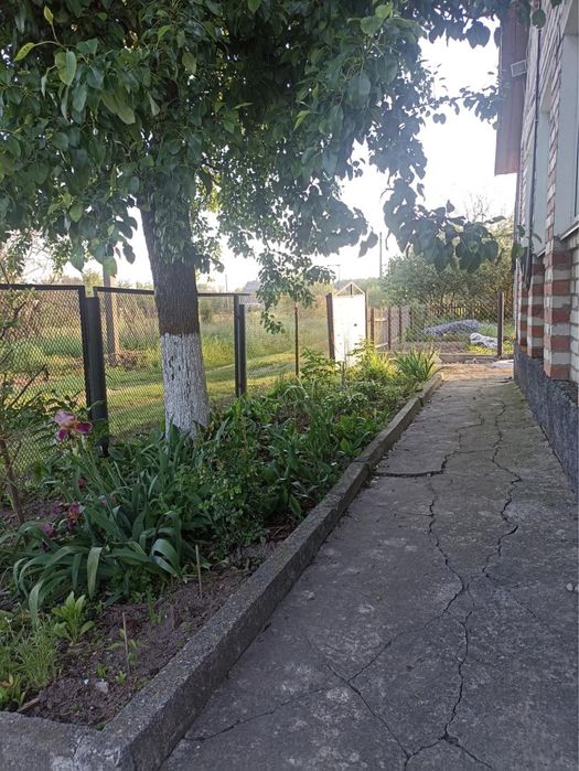 Продам будинок в дачному масиві с. Чижівка